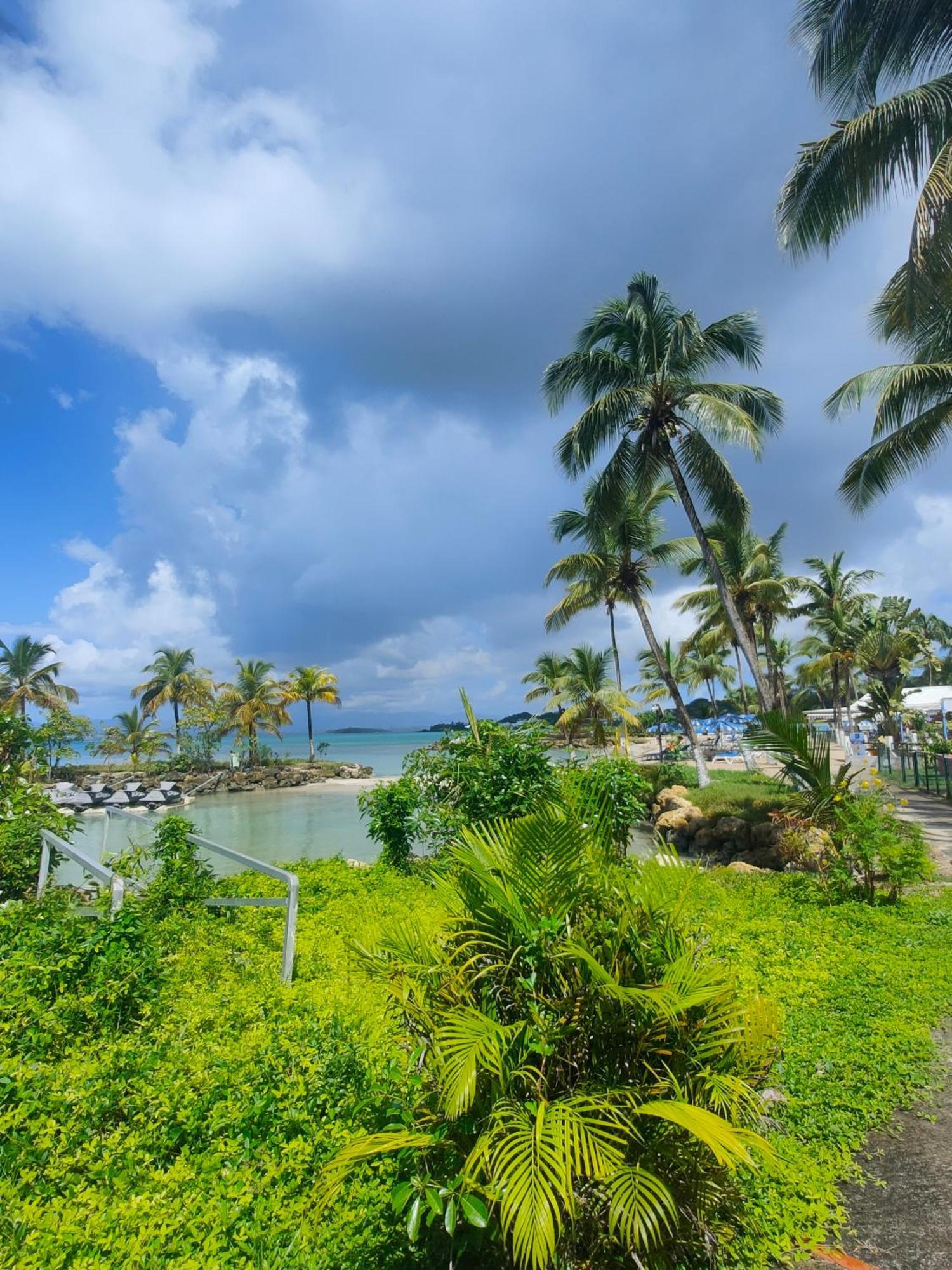 Studio Vue Mer, Pieds Dans L'Eau Le Gosier  Exteriér fotografie